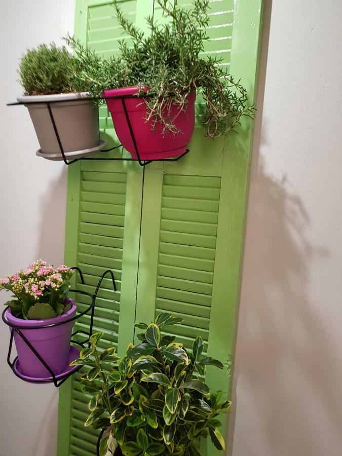 Athens Oasis Atenas Exterior foto